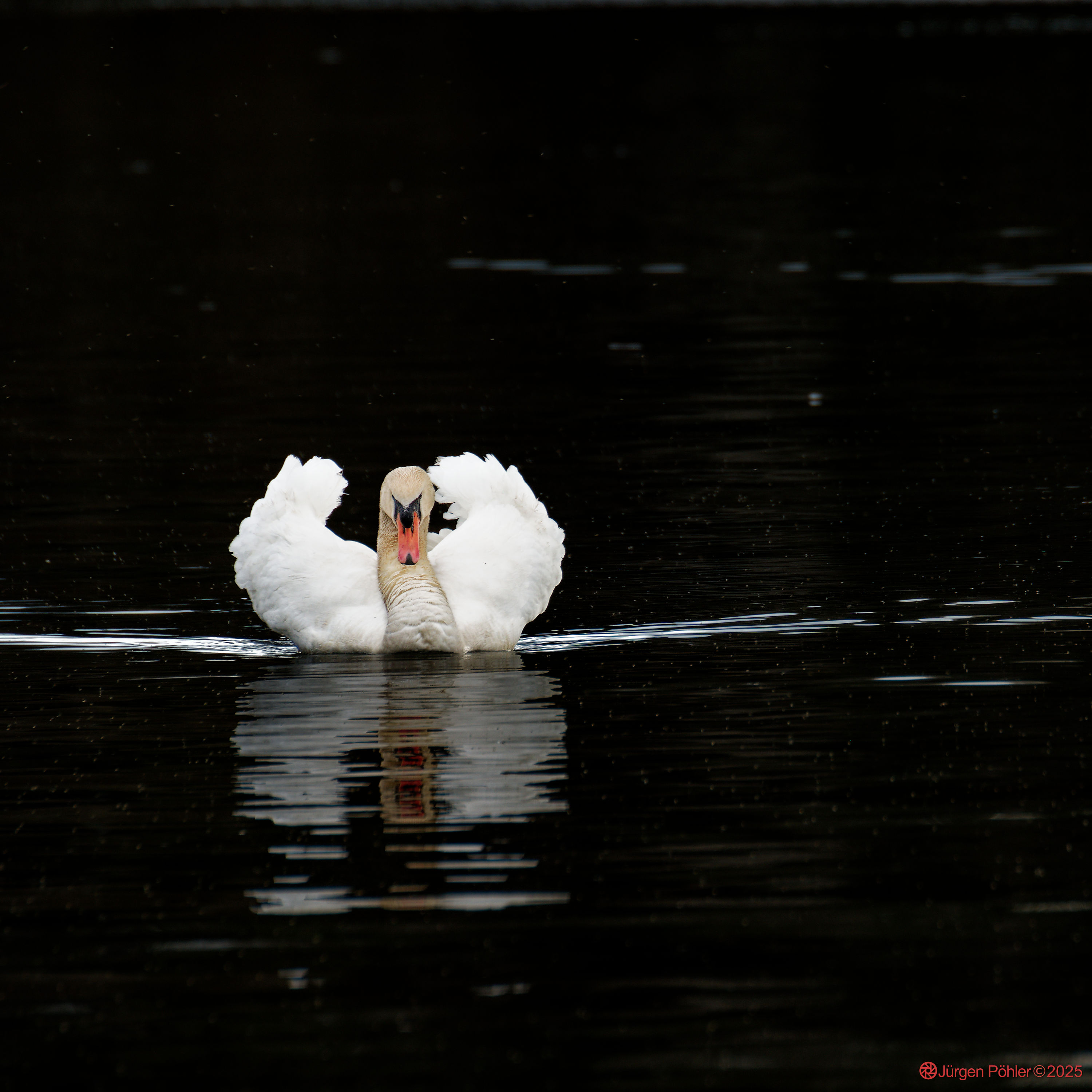 20210413 Baldeneysee 0103