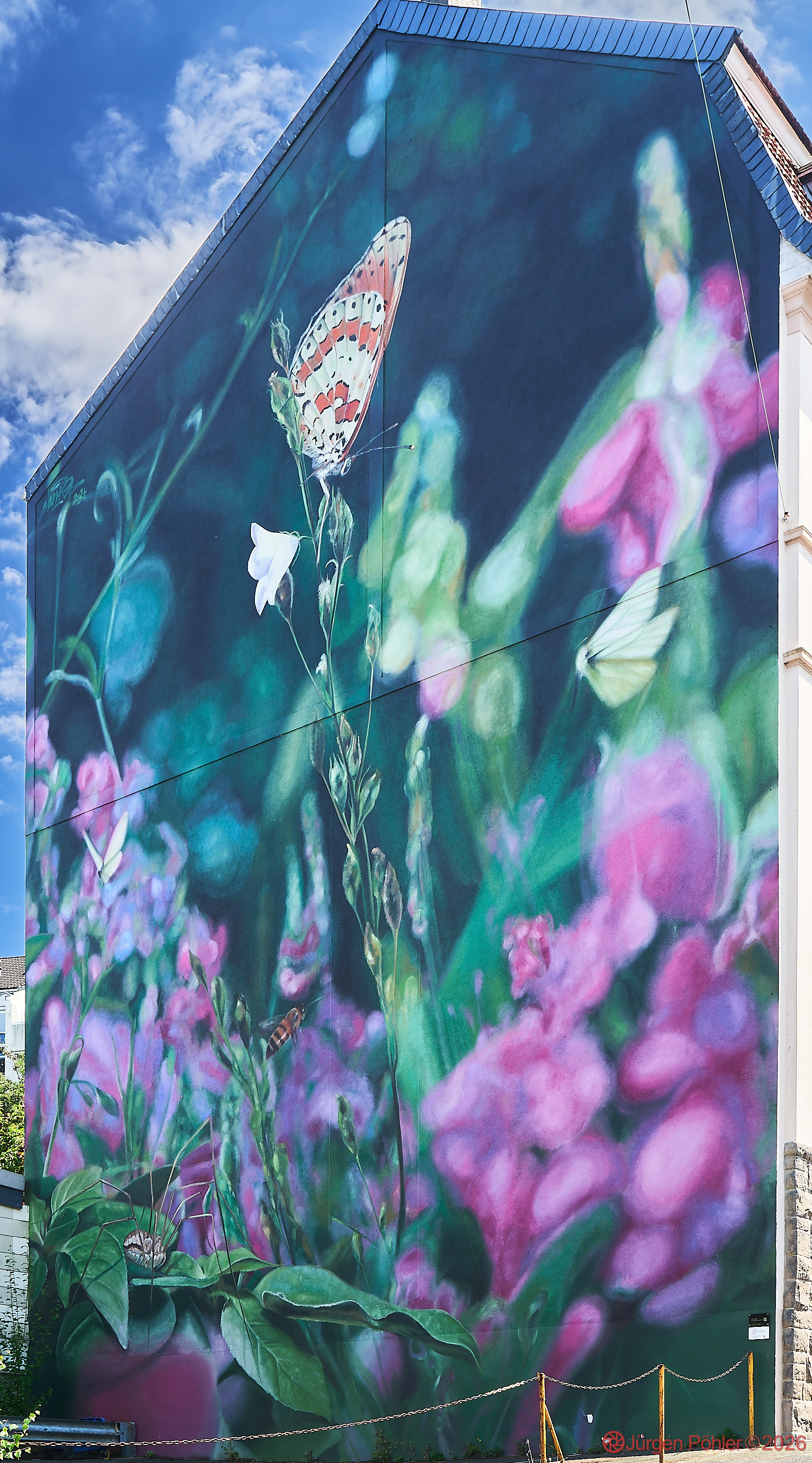 20260802 Murals 0009
